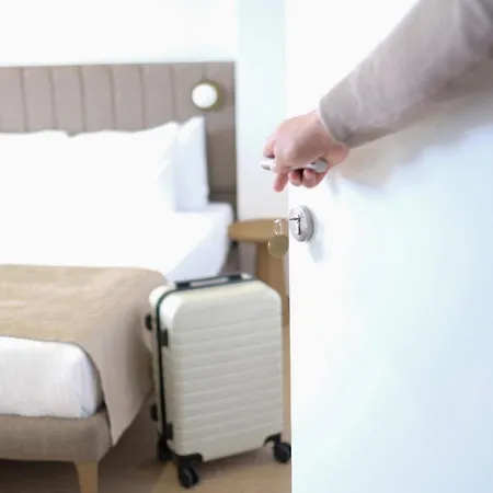 Hotel Meshk Airport 3*